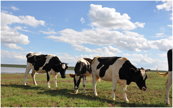 20170209151236313631