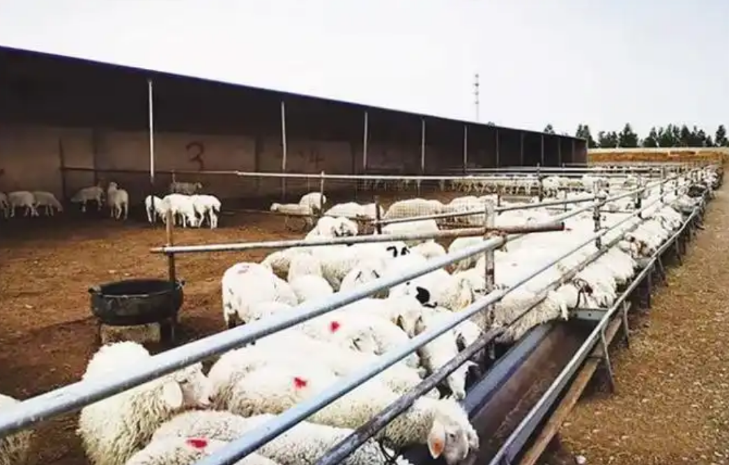 20260119171348114811