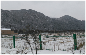 ������K8���� - ����Ӯ�ҡ�һ������