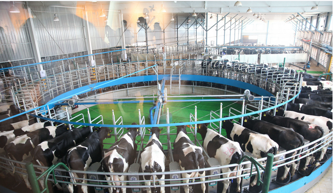 ������K8���� - ����Ӯ�ҡ�һ������