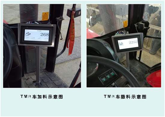 ������K8���� - ����Ӯ�ҡ�һ������