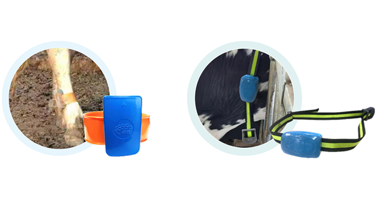 ������K8���� - ����Ӯ�ҡ�һ������