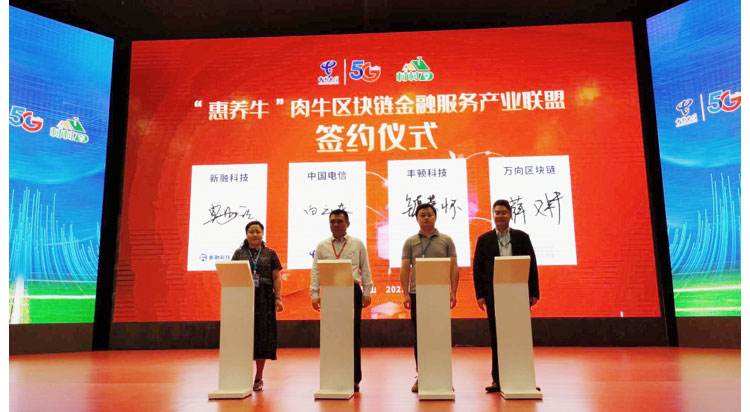 ������K8���� - ����Ӯ�ҡ�һ������