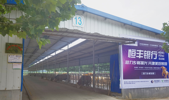 ������K8���� - ����Ӯ�ҡ�һ������