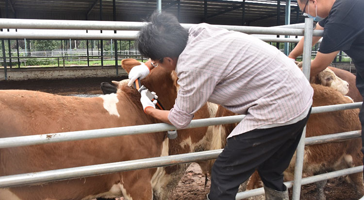 ������K8���� - ����Ӯ�ҡ�һ������