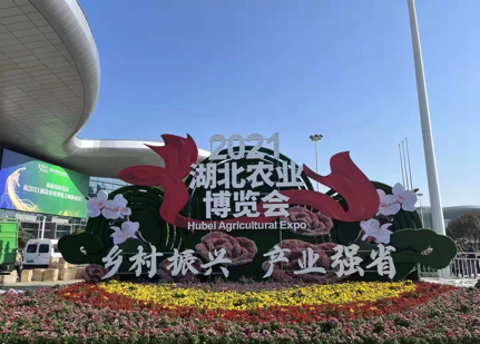 ������K8���� - ����Ӯ�ҡ�һ������