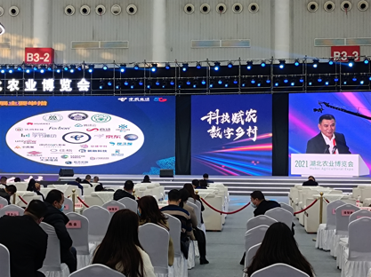 ������K8���� - ����Ӯ�ҡ�һ������