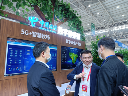 ������K8���� - ����Ӯ�ҡ�һ������