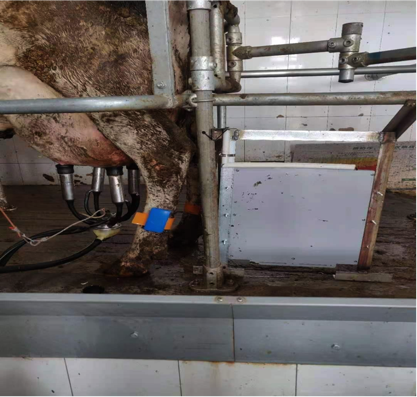 ������K8���� - ����Ӯ�ҡ�һ������