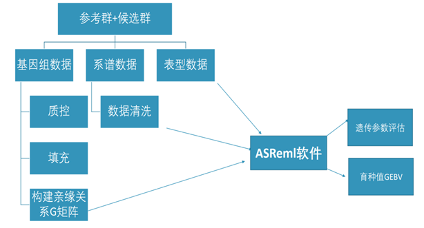 ������K8���� - ����Ӯ�ҡ�һ������