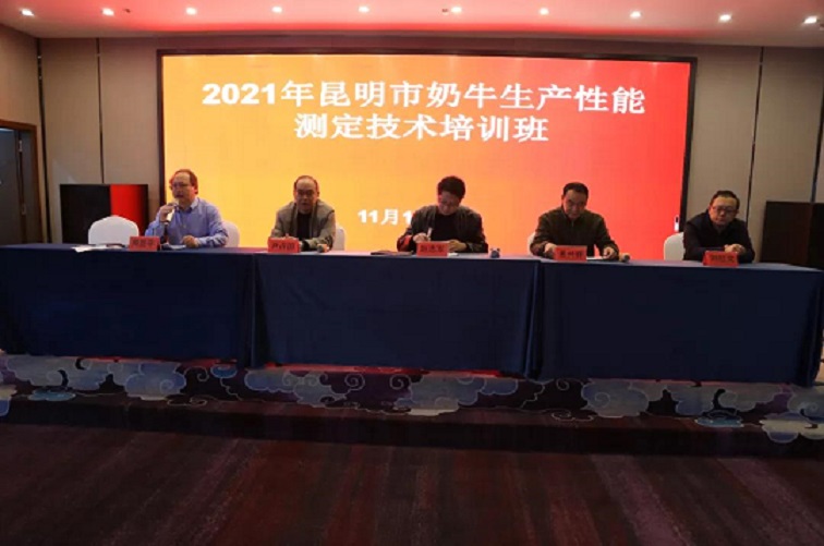 ������K8���� - ����Ӯ�ҡ�һ������