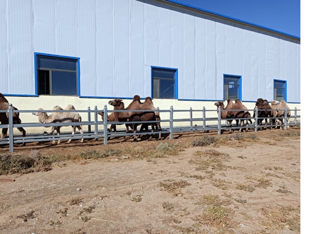 ������K8���� - ����Ӯ�ҡ�һ������