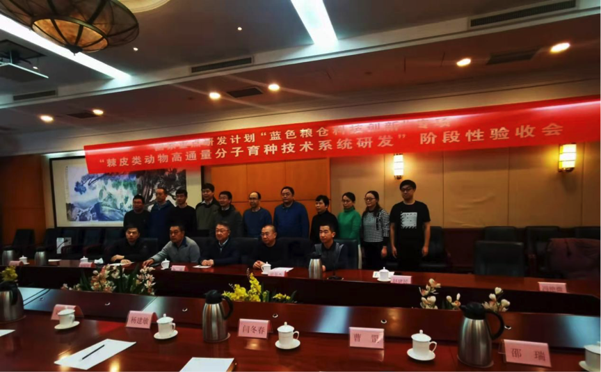 ������K8���� - ����Ӯ�ҡ�һ������