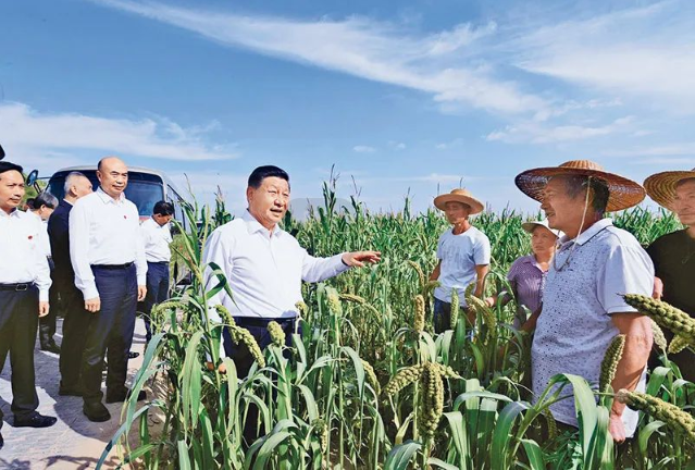 ������K8���� - ����Ӯ�ҡ�һ������