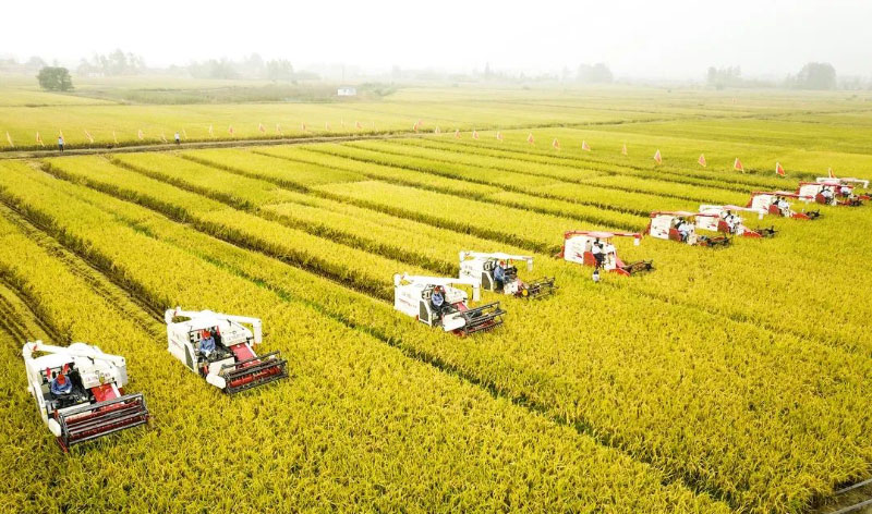 ������K8���� - ����Ӯ�ҡ�һ������