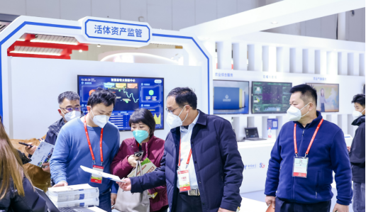 ������K8���� - ����Ӯ�ҡ�һ������