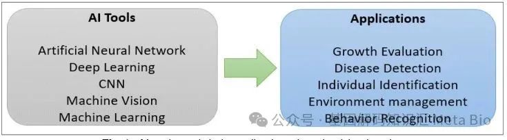 ������K8���� - ����Ӯ�ҡ�һ������