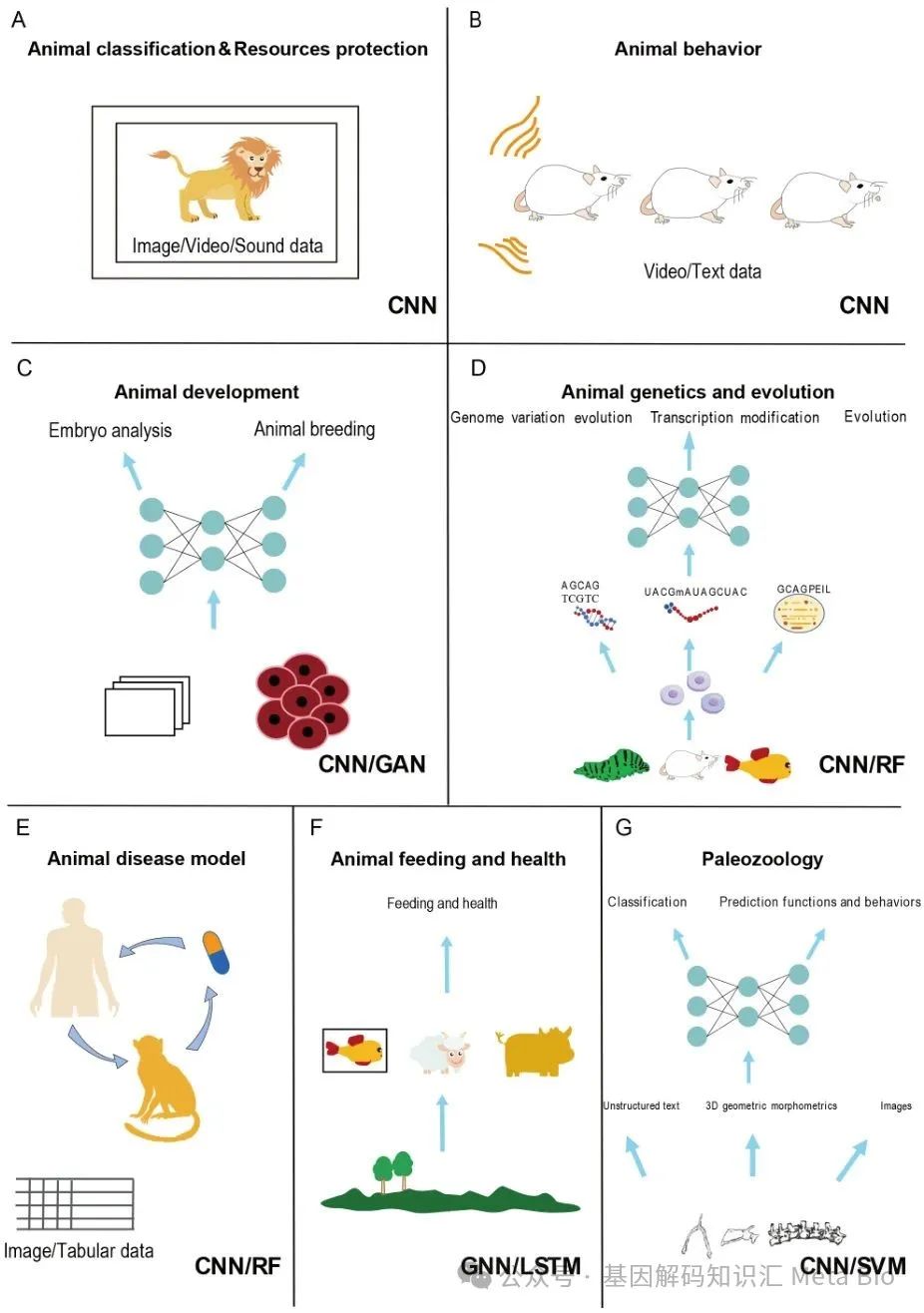 ������K8���� - ����Ӯ�ҡ�һ������
