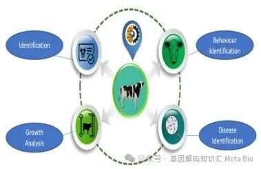 ������K8���� - ����Ӯ�ҡ�һ������