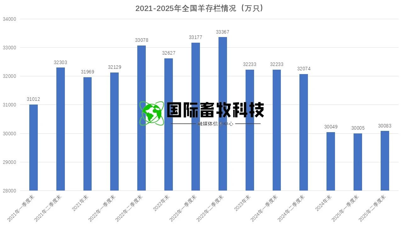 ������K8���� - ����Ӯ�ҡ�һ������