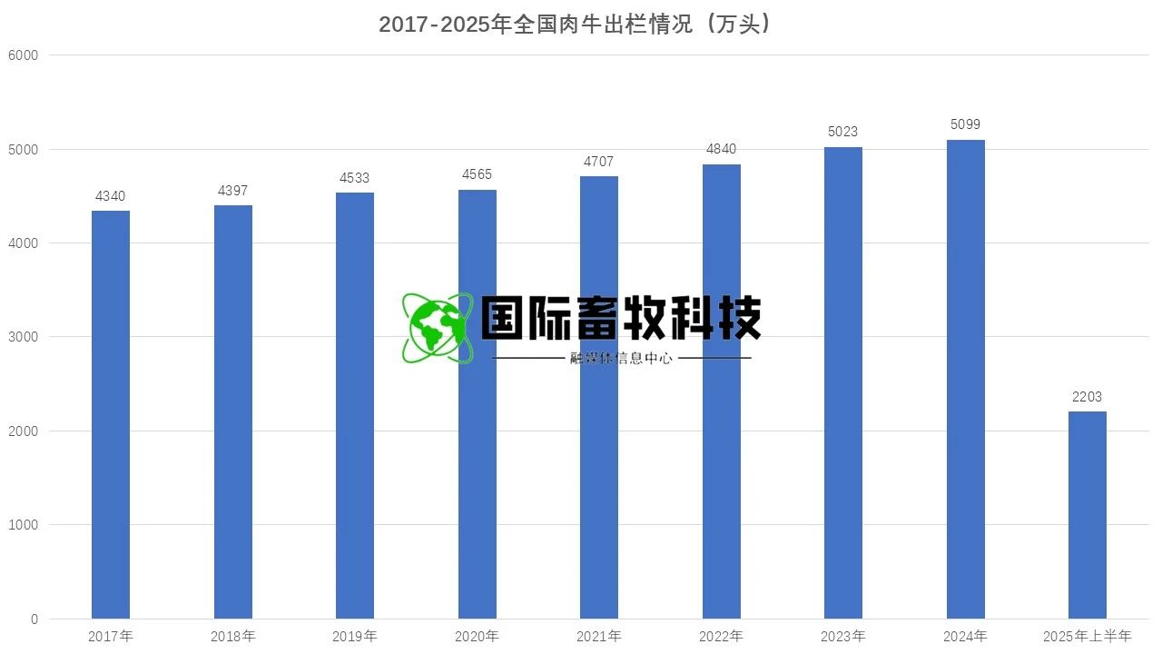 ������K8���� - ����Ӯ�ҡ�һ������